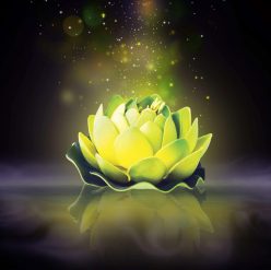 Bandol Hypnose & Mieux être à Bandol